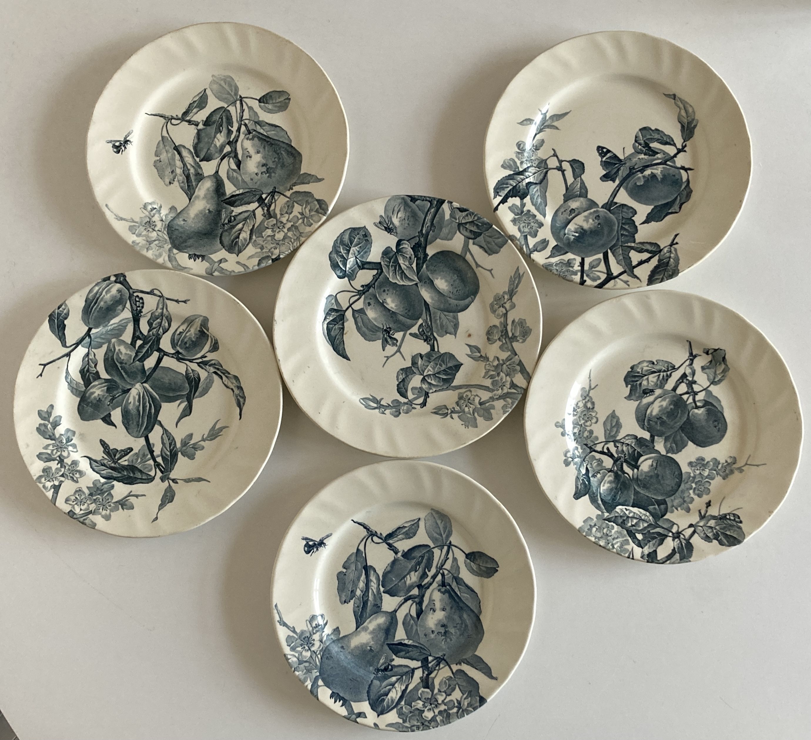 Set of 6 plates Creil Montereau Pomona iron earth early 20th