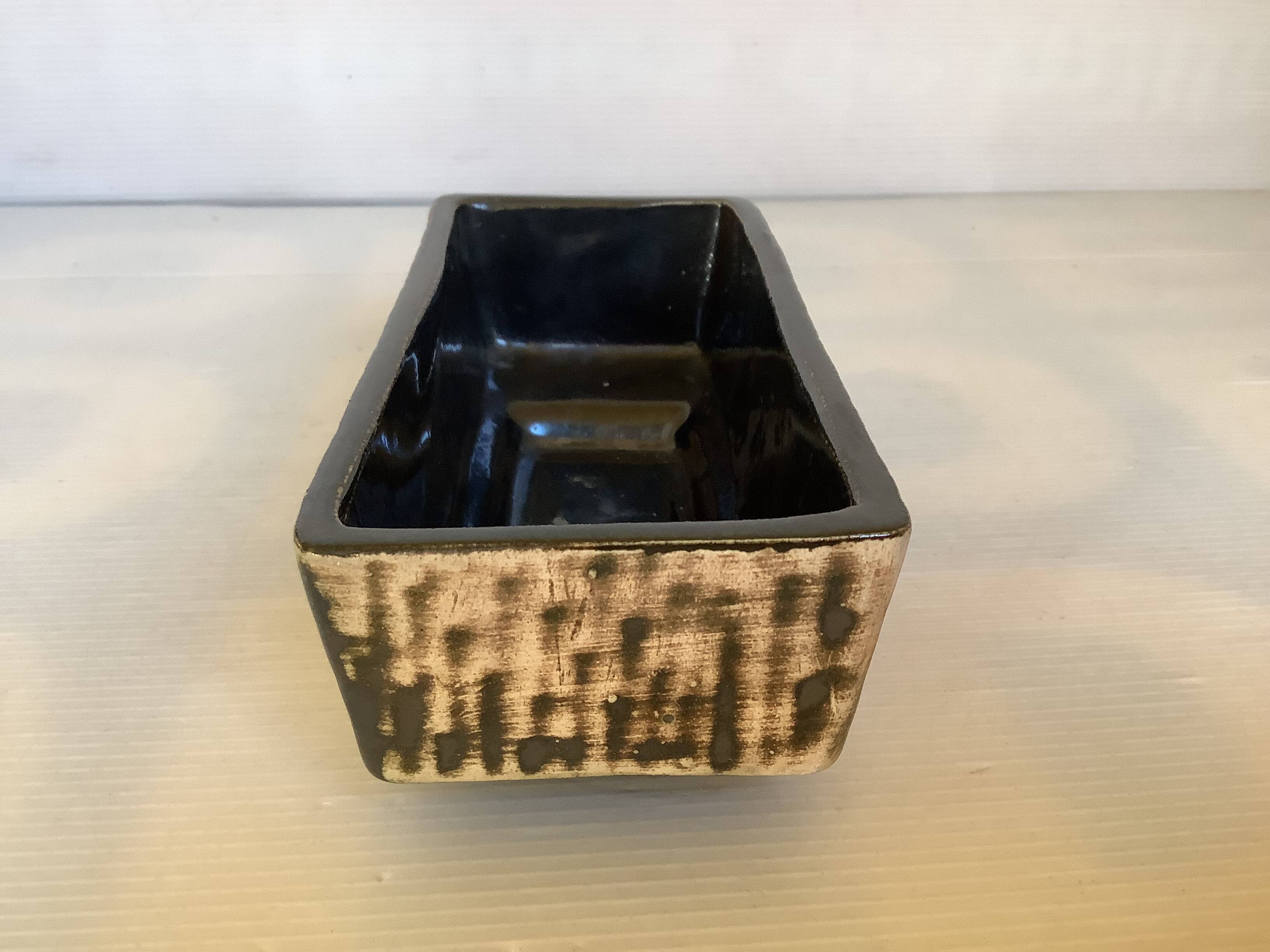 Small cactus planter Aldi Reuver Holland