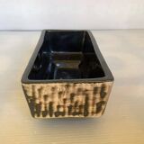 Small cactus planter Aldi Reuver Holland