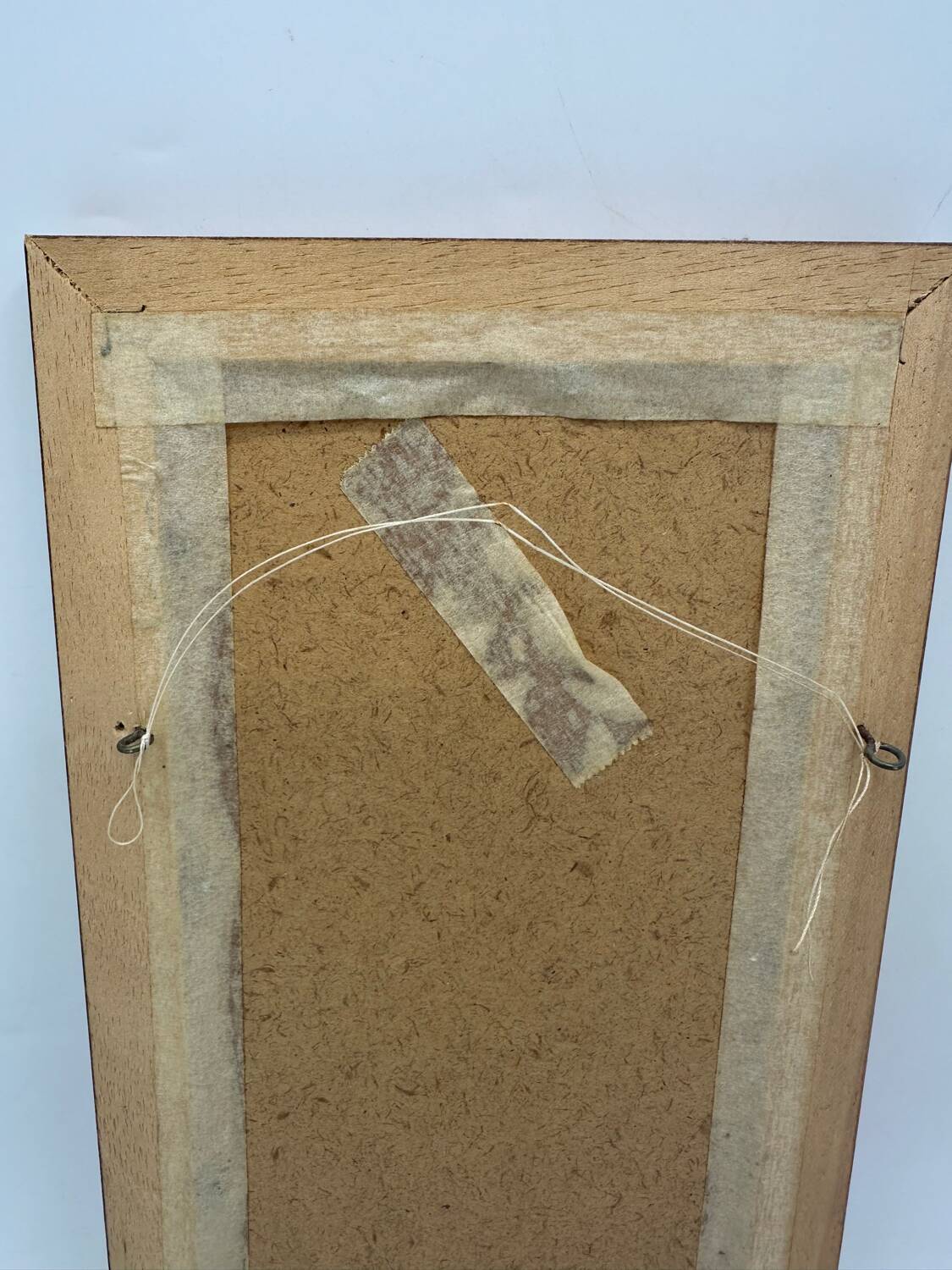 Old butterflies lithograph