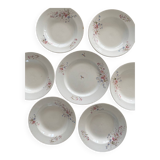 Set of 6 soup plates and 1 dish in polychrome ironstone Choisy-le-Roi