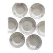 Ensemble de 6 assiettes creuses et 1 plat en terre de fer polychrome Choisy-le-Roi