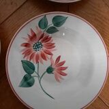 Flower earthenware plates