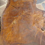 Elm tree trunk coffee table
