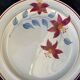 6 earthenware plates Sylvie Hamage Moulin des Loups Nord vintage model