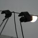 Postmodern "Bluebell" floorlamp by CP & PR Associati for Fontana Arte