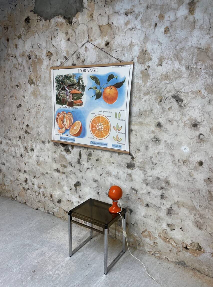 School poster the orange and the fur