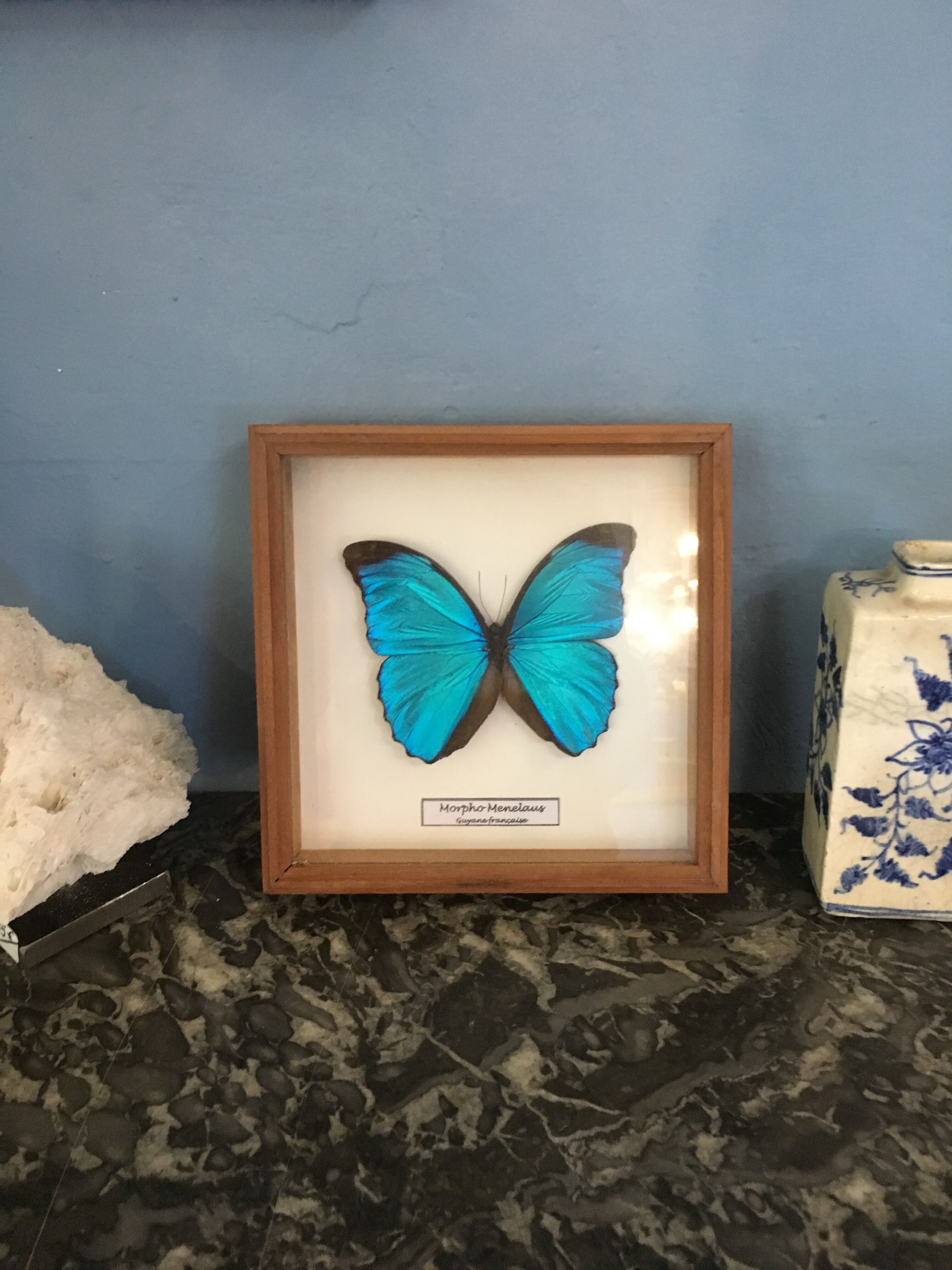 Butterfly frame