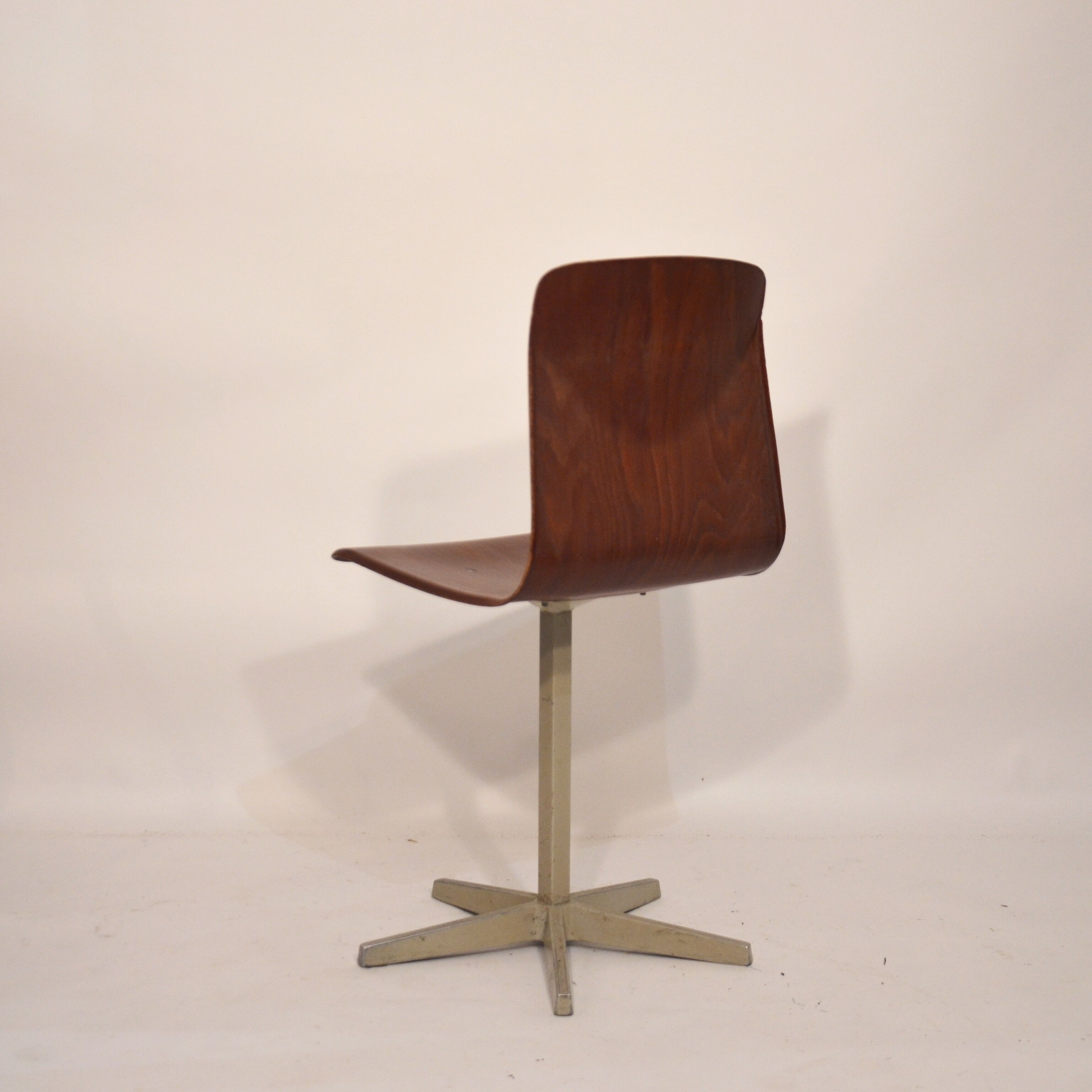 Pagholz grey star foot chair