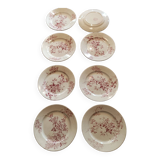 8 Avellan dinner plates