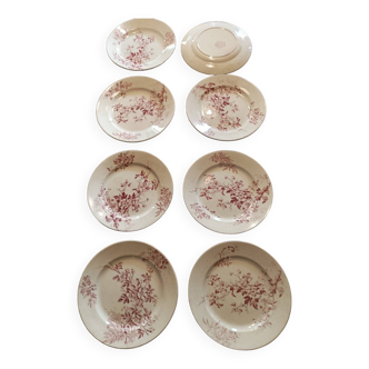 8 assiettes plates Avellan