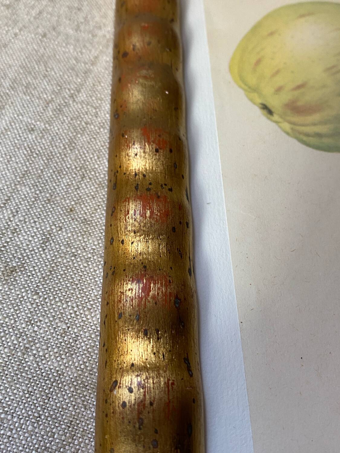 Botanical poster, Langlois print, Royal apple of England