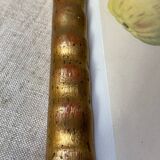 Botanical poster, Langlois print, Royal apple of England