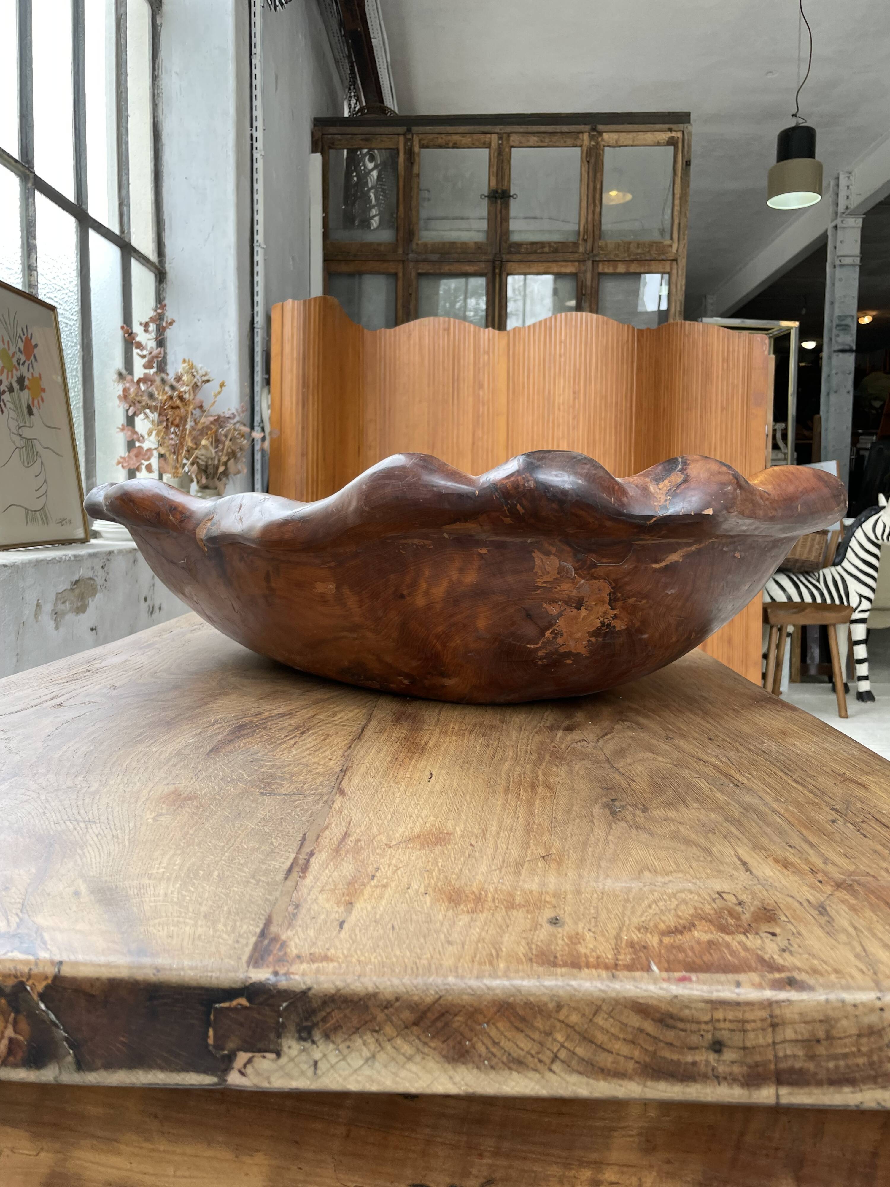 XL thuja root wooden dish