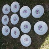 Lot 11 flat plates moulin des loups