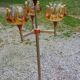 1970s design floor lamp in chrome metal with gold and orange, featuring 4 glass tulips.