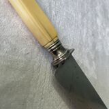 Box of 12 table knives XIXth Napoleon III