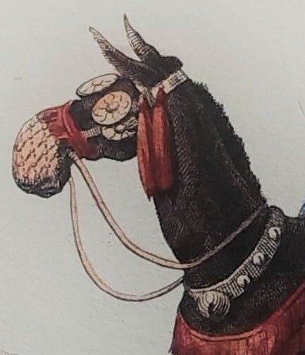 Original zoological plate "zebra & mule" - buffon 1840