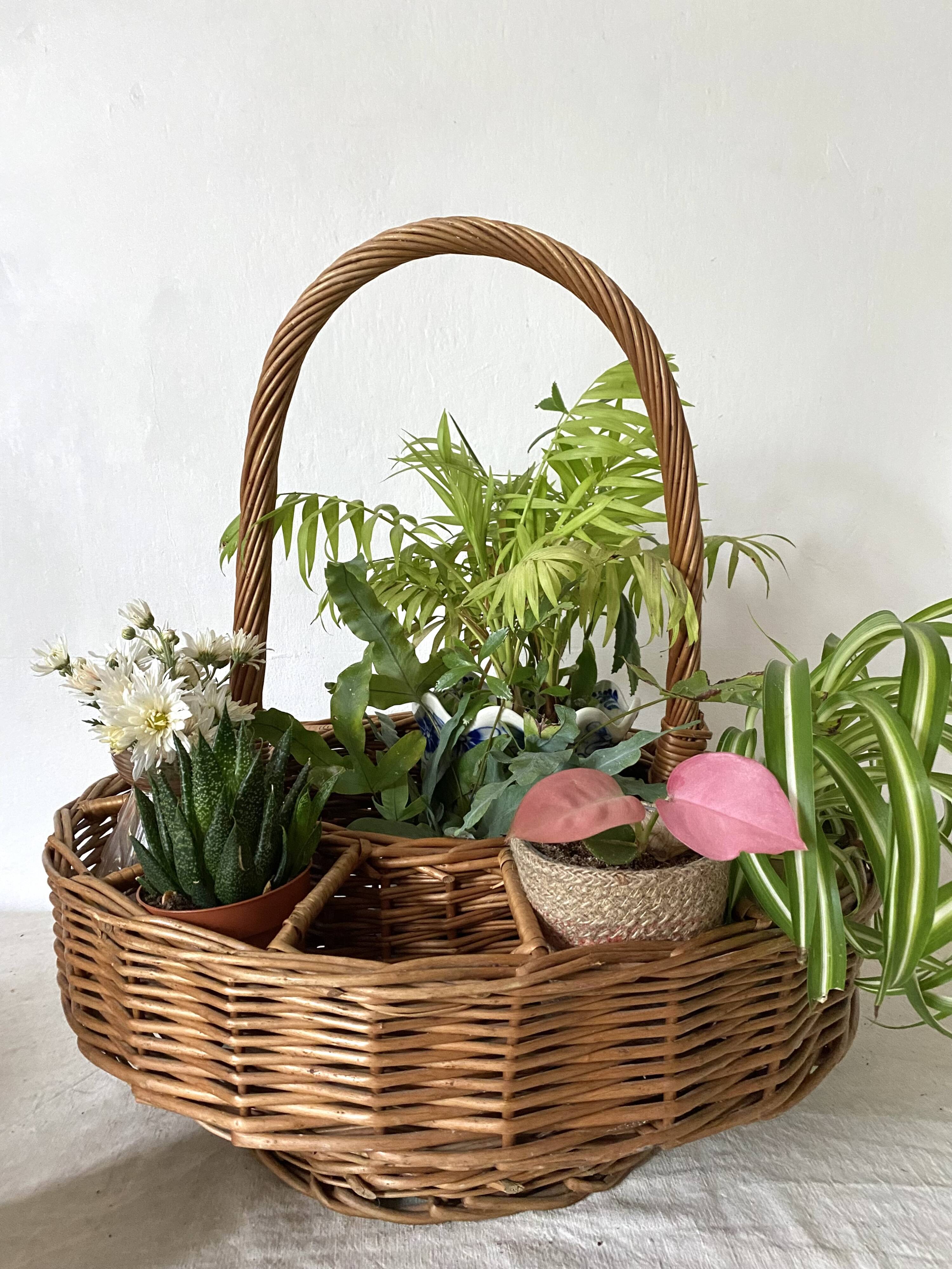 Bar basket or plant holder in woven wicker
