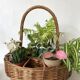 Panier bar ou porte plantes en osier tressé