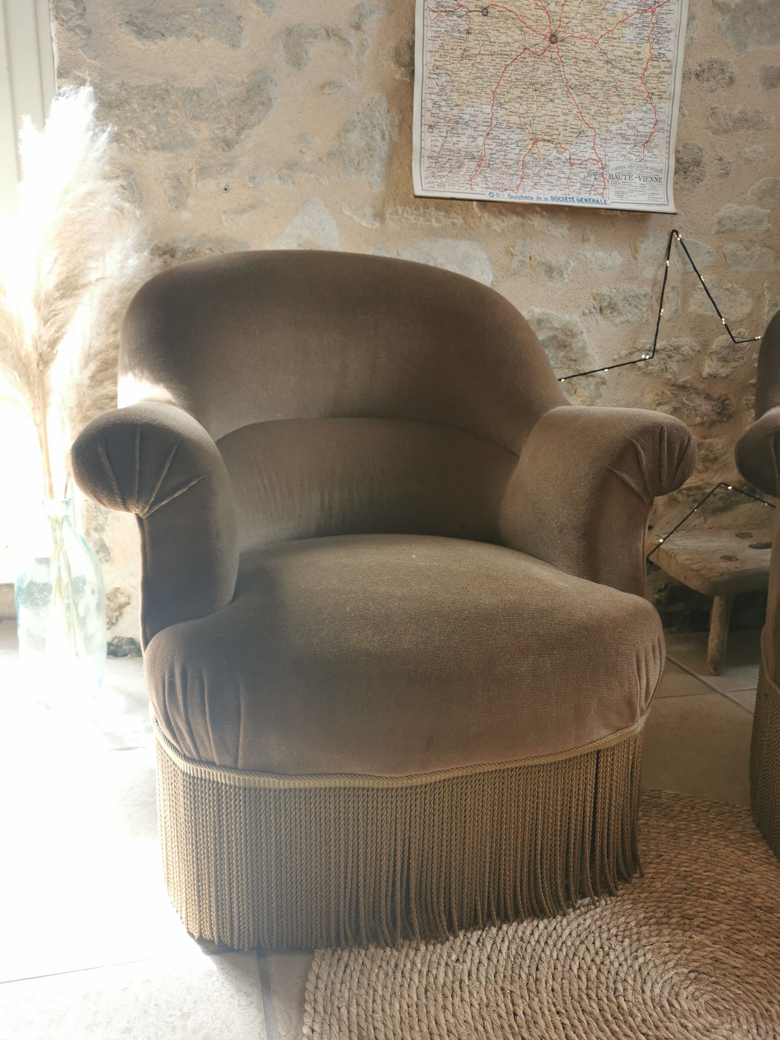 Pair of frozen brown toad armchairs