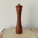 Pepper tree former brothers Peugeot Lion