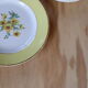 6 old plates Digoin & Sarreguemines