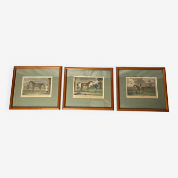Lot de 3 gravures équestres anglaises encadrées fin XIXème