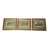 Lot of 3 English equestrian engravings framed late 19th century
