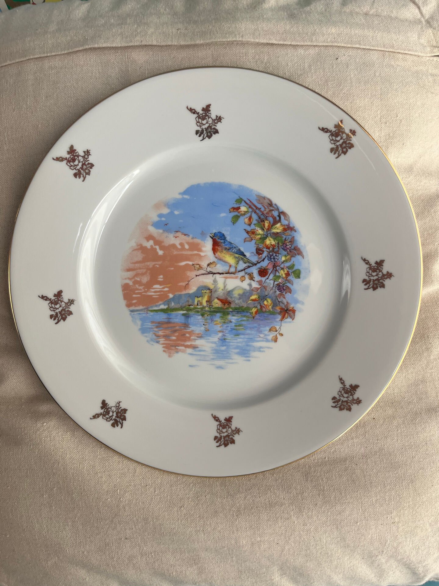 Antique Limoges porcelain plate – bird decoration – 25 cm