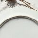 Vintage Limoges Berry porcelain cake dish with bird of paradise motif -
