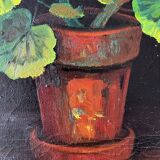 Geraniums