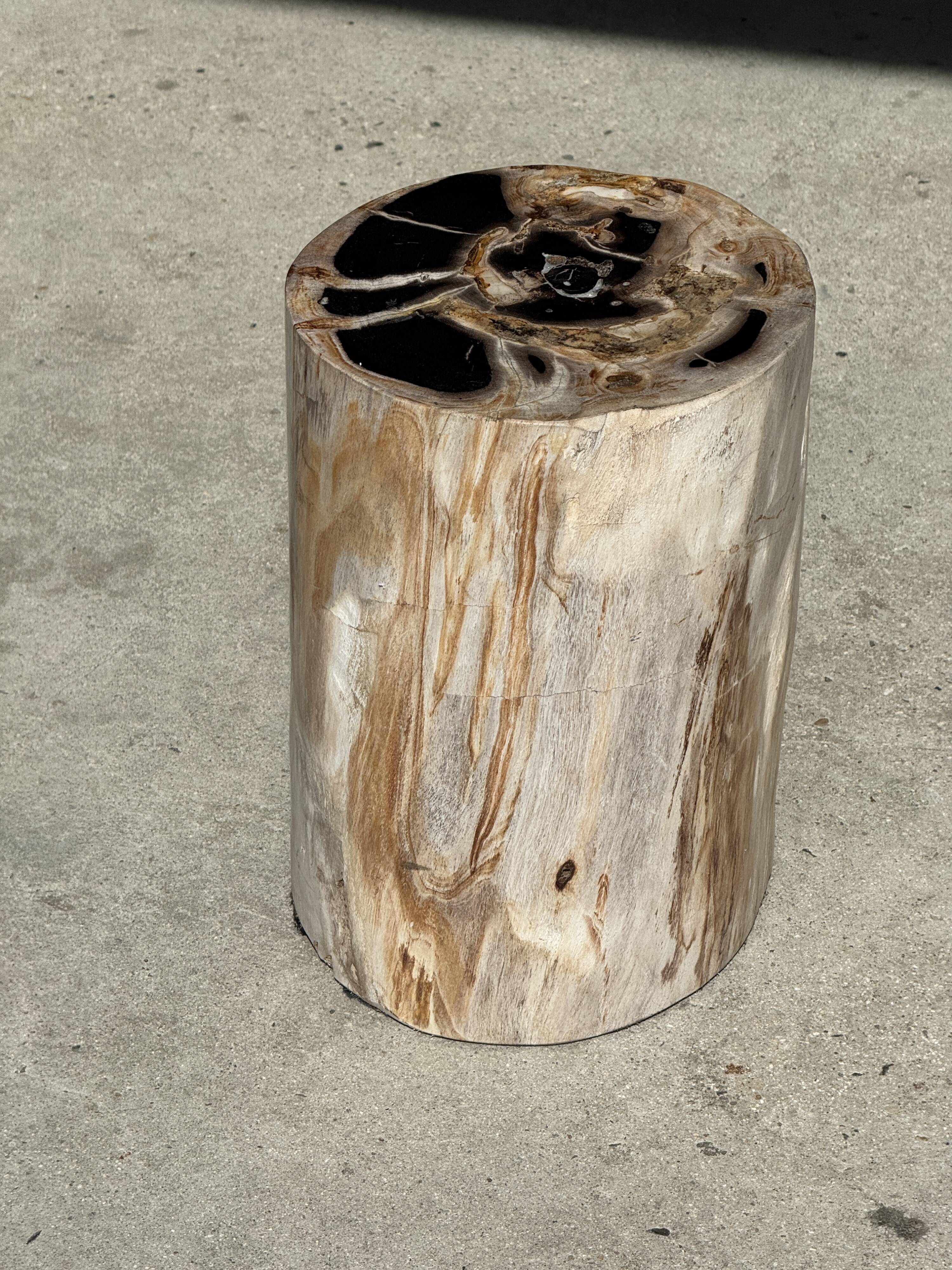 Multicoloured petrified wood side table H45 D24 - 3328