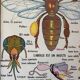 Vintage double-sided school poster “THE BEE / THE FISH”
