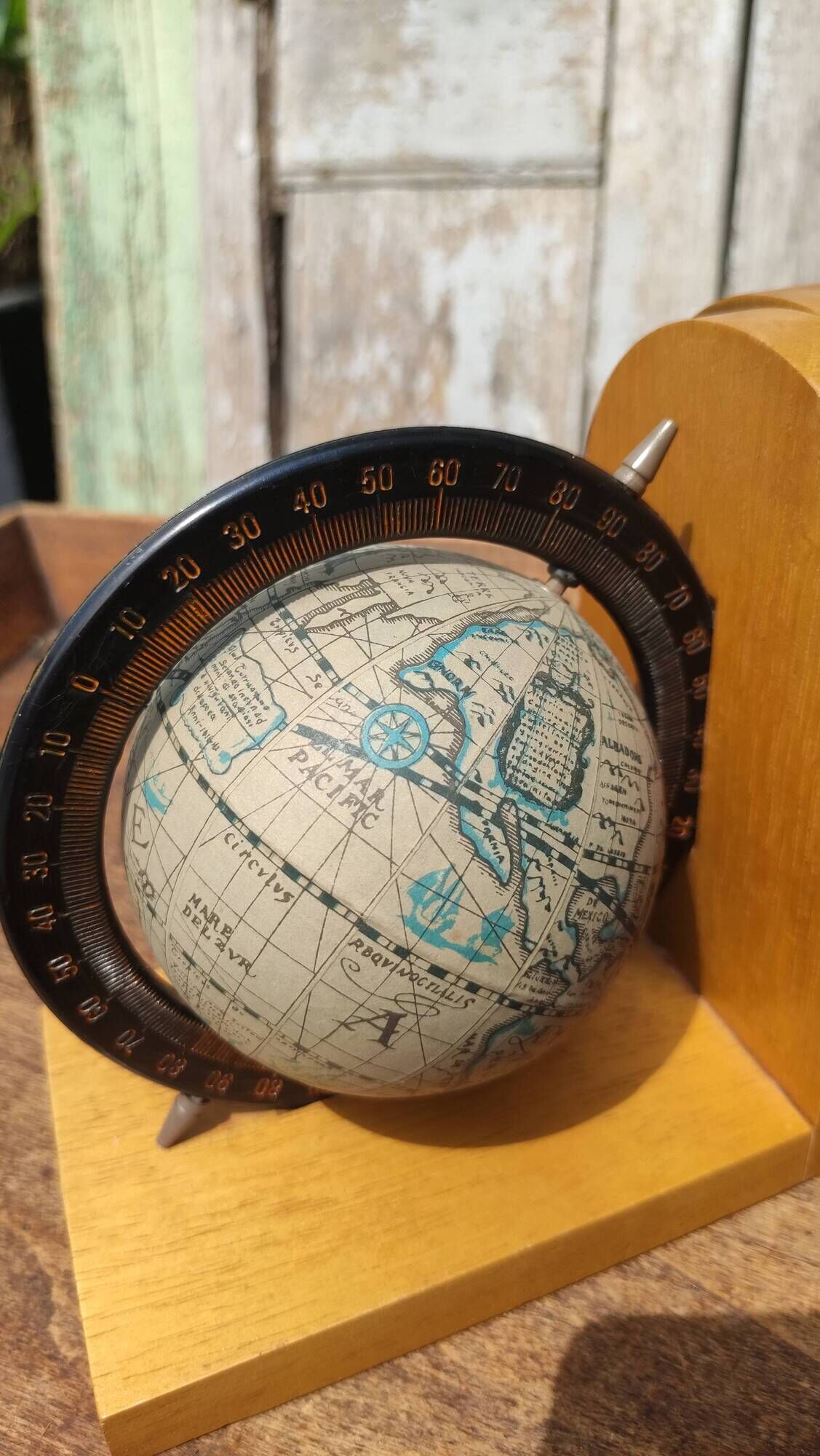 Pair of greenhouses vintage wooden books world map