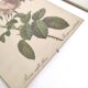 Lot 2 Frames botanical illustration flower rose
