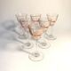 Former 6 glasses with liqueur on foot