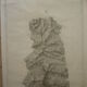 Map of the navy "cap corse - canelle - cap sagro" nº 4911