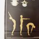 German poster anatomical Hagemann vintage, 1965