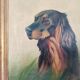 A.Mairesse Portrait de Chien, oil on canvas, 1930