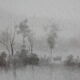 Paysage