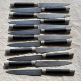 Set of 12 19th century table knives with ebony and chiseled silver handles
