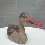 Painted wood-billed red-billed duck
