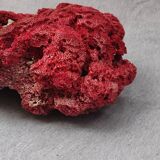 Coral to lay 25 cm