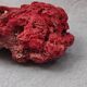 Corail a poser 25 cm