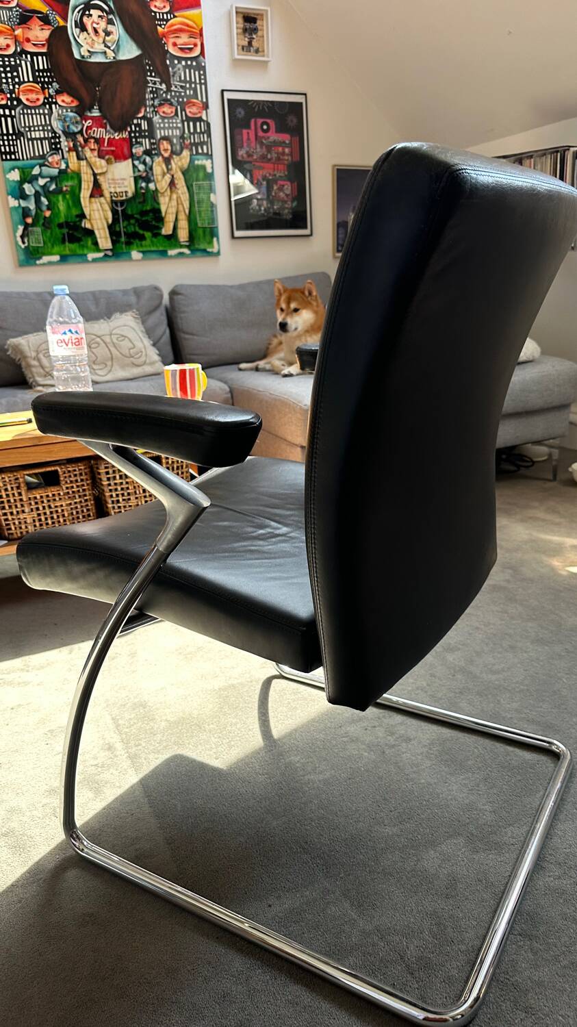 Walter Knoll Dining Chair - armchair / Leather and chrome chair