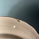 Set of 8 flat plates in Digoin Sarreguemines earthenware, Agreste model