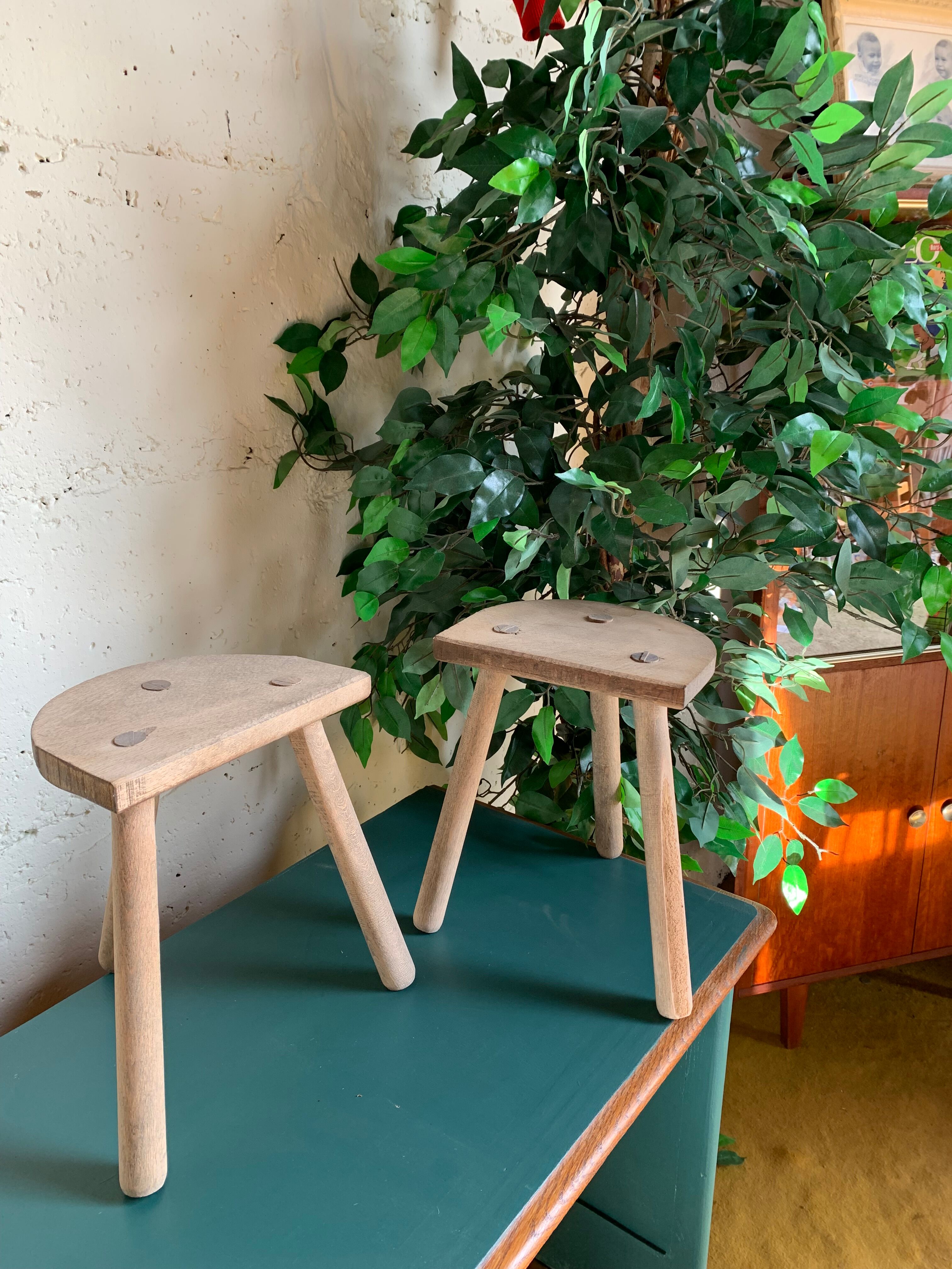 Duo de tabourets tripodes en bois brut
