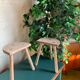 Duo de tabourets tripodes en bois brut