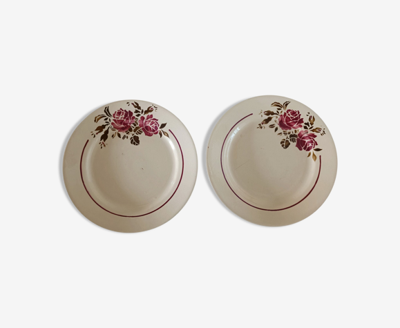 Deux assiettes terre de fer à décor de rose